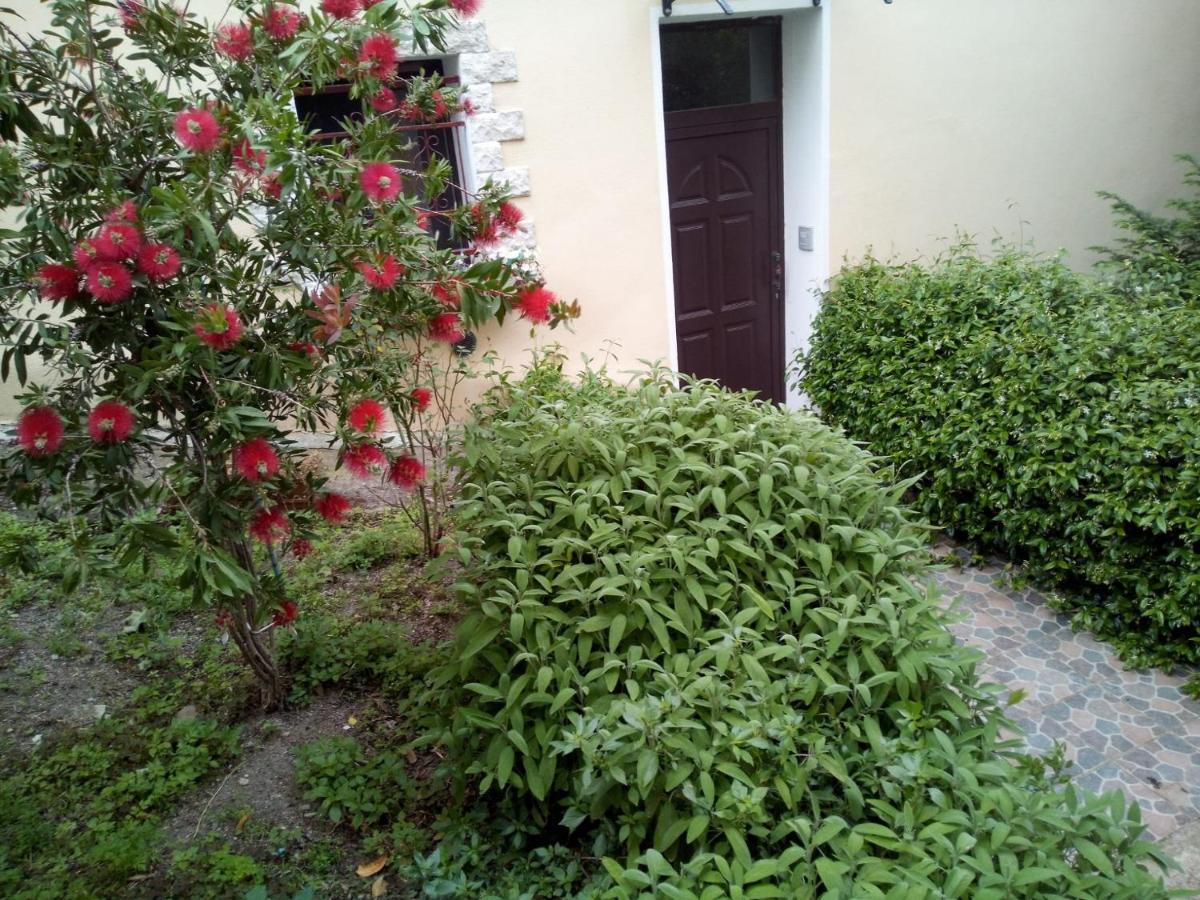 B&B Baddesalighes Bolotana Екстер'єр фото